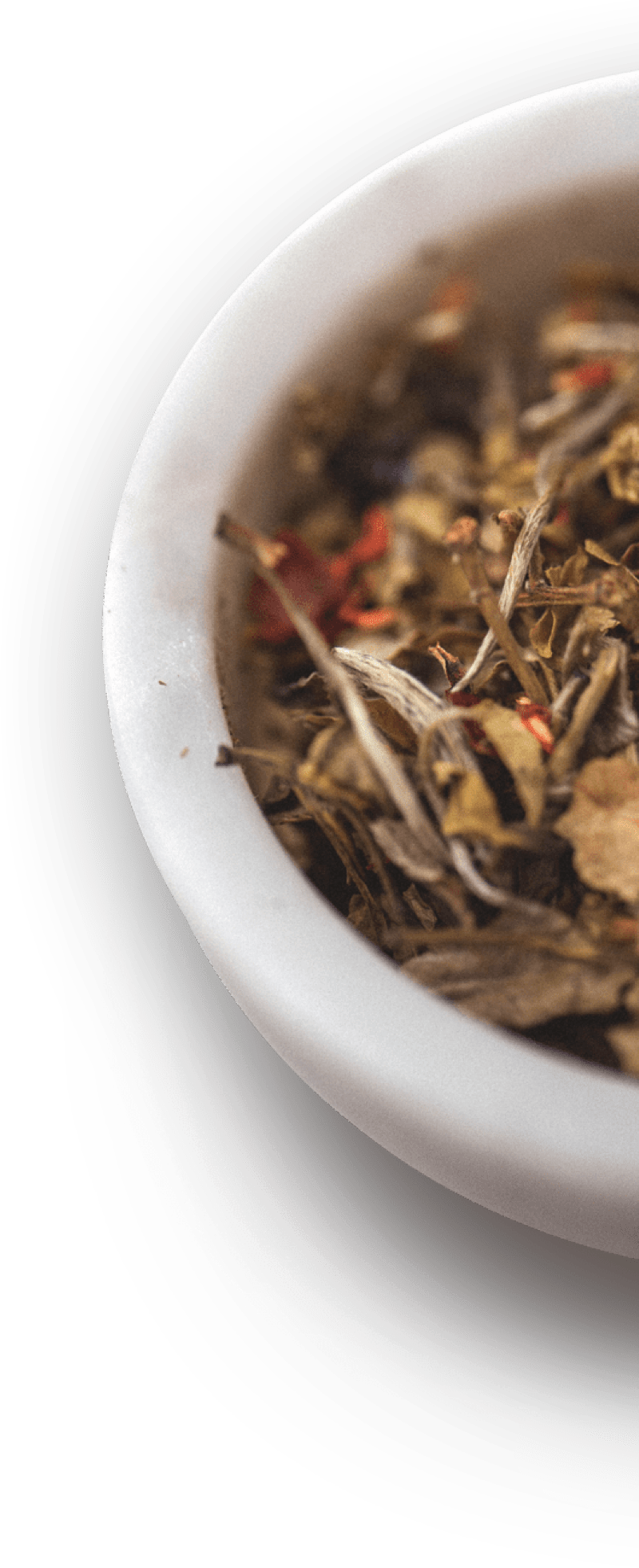 herbal-remedy_13 herbal remedy 13